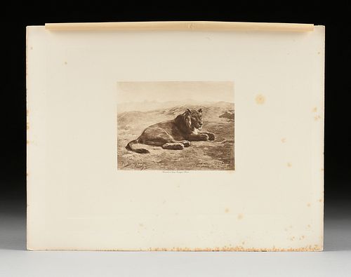 AFTER ROSA BONHEUR (FRENCH