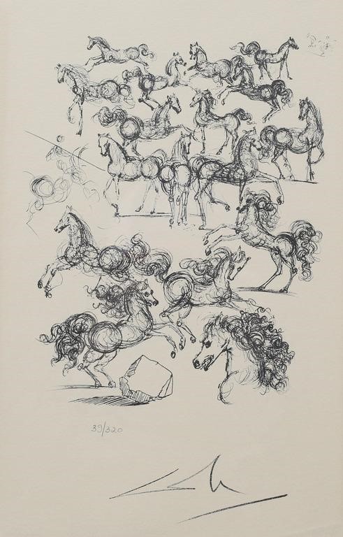 AFTER SALVADOR DALI LITHOGRAPH