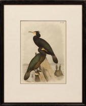 AFTER THEODORE JASPER (AMERICA