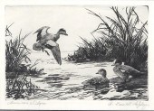 AIDEN LASSELL RIPLEY (1896-196