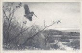 AIDEN LASSELL RIPLEY (1896-196