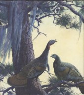 AIDEN LASSELL RIPLEY (1896-196