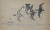 AIDEN LASSELL RIPLEY (1896-196