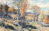 AIDEN LASSELL RIPLEY, (AMERICA