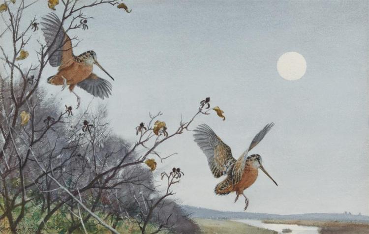 AIDEN LASSELL RIPLEY, (AMERICAN,