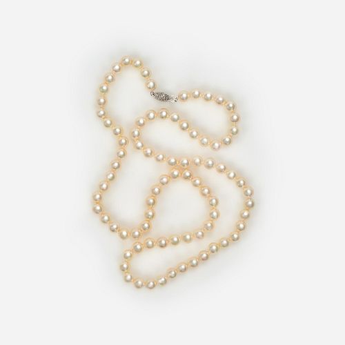 AKOYA CULTURED WHITE PEARL