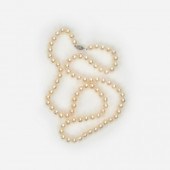 AKOYA CULTURED WHITE PEARL NEC