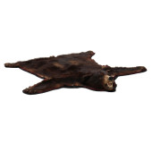 ALASKAN BLACK BEAR RUG TAXIDER