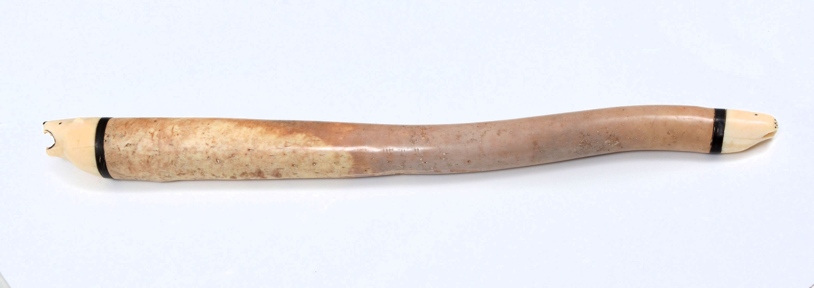 ALASKAN INUIT WALRUS OOSIK CARVING:
