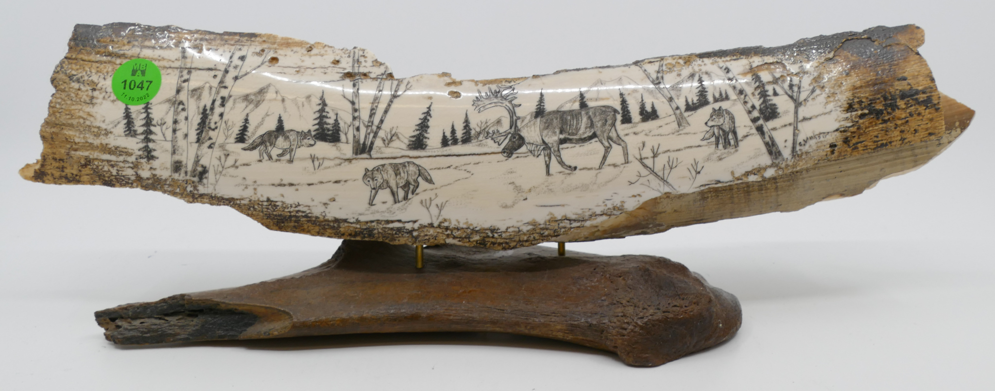 Alaskan Scrimshawed Caribou Wolf