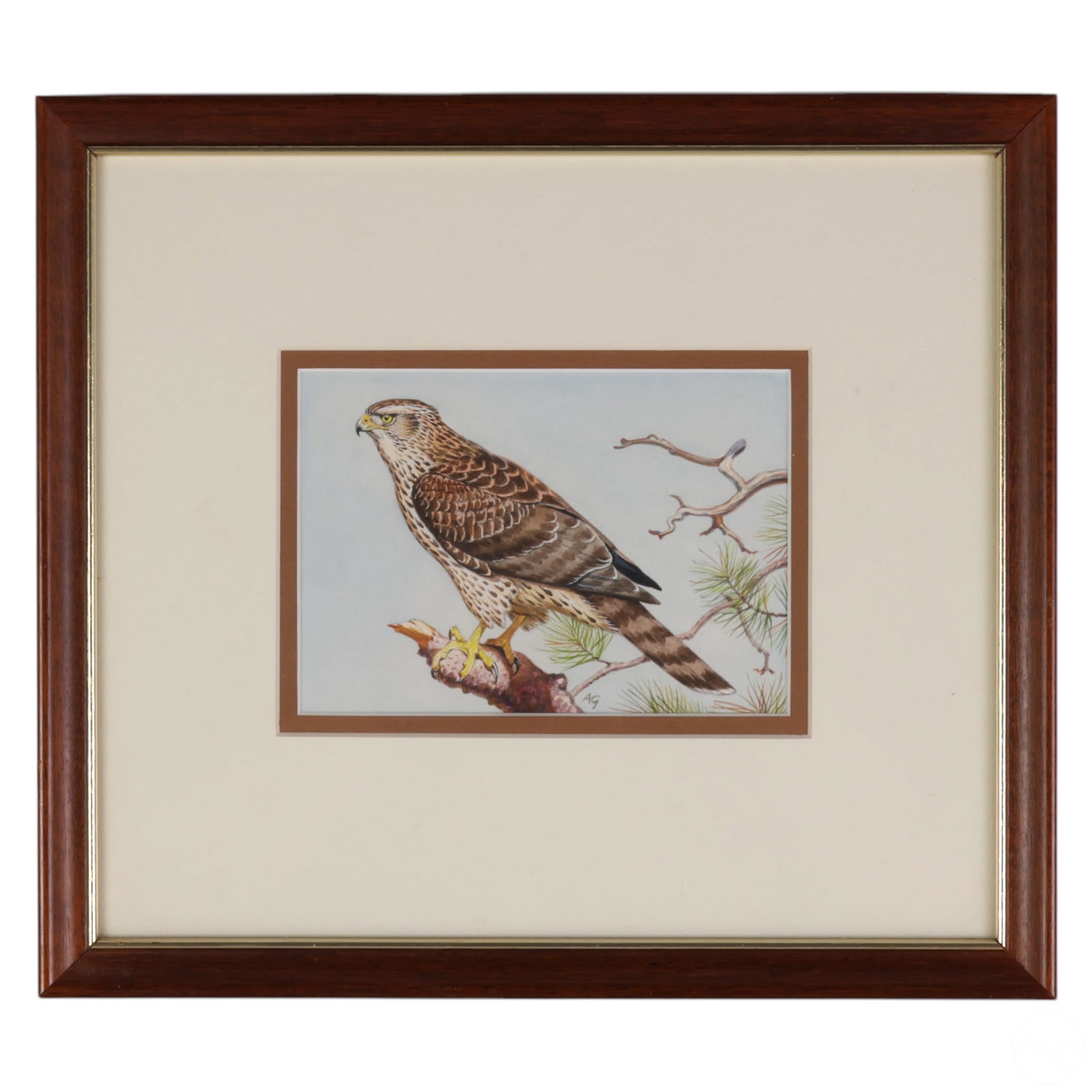 ALBERT GILBERT B.1939 GOSHAWK
