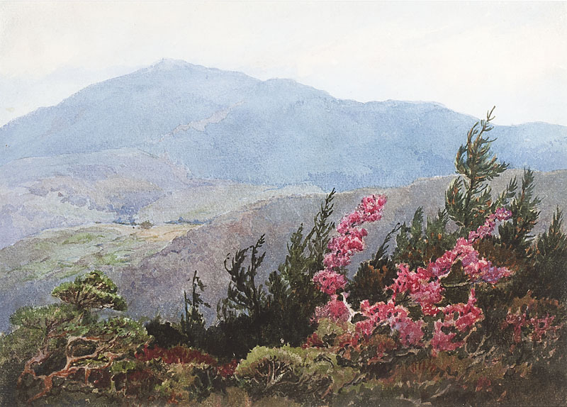 Albert Thomas De Rome (1885-1959