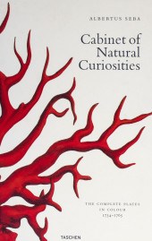 ALBERTUS SEBA "CABINET OF NATU