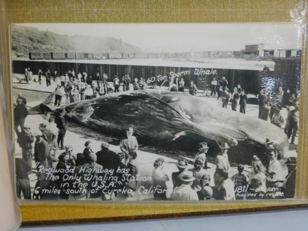 ALBUM CONTAINING APPROX. 105