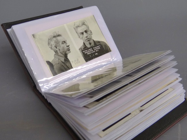 Album of 50 vintage mug shots