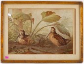ALEXANDER POPE. TWO WOODCOCKS,