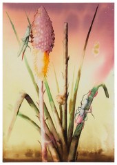 ALEXIS ROCKMAN (B. 1962), "UNT