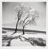 Alfred Eisenstaedt (American 1