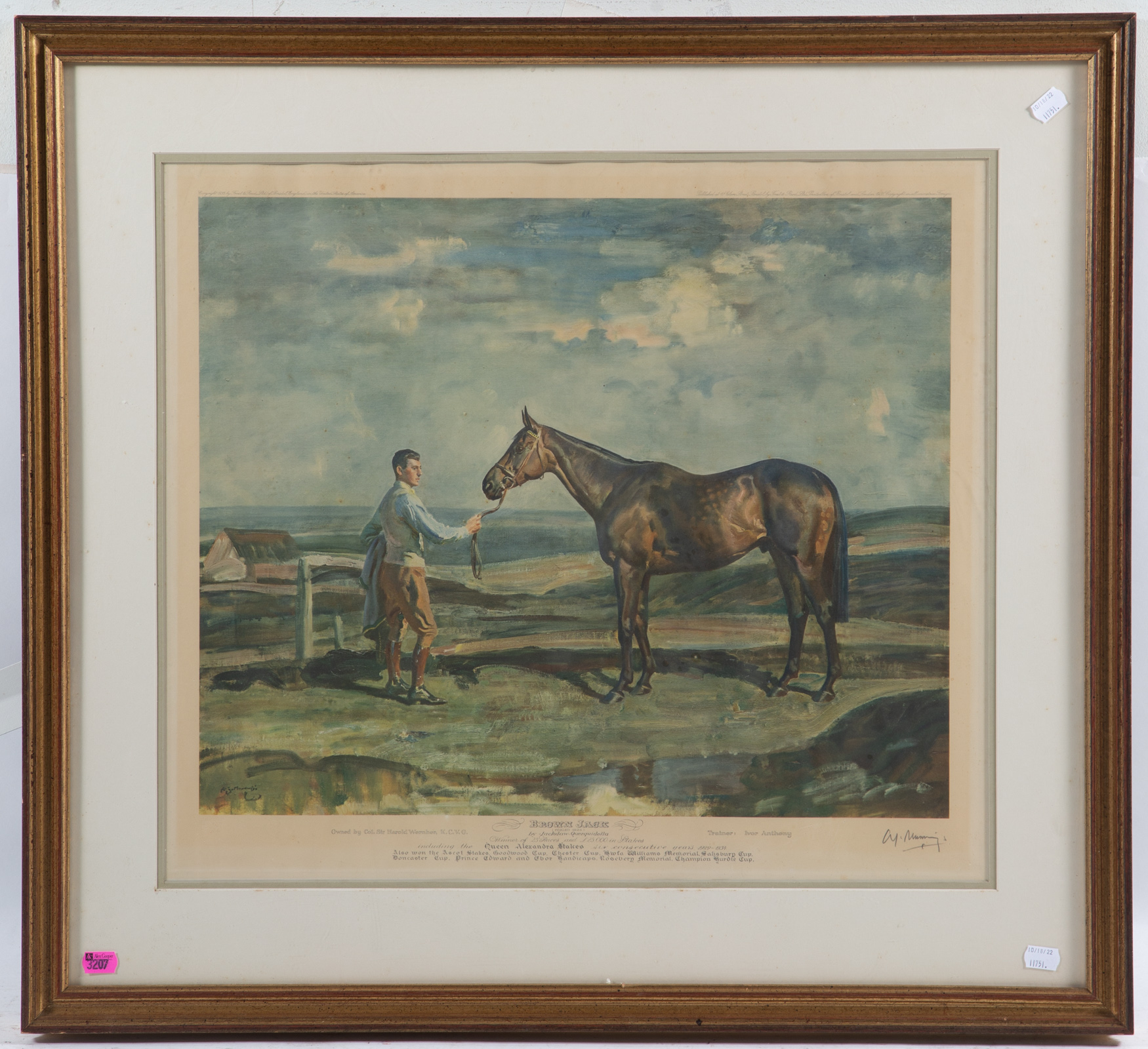ALFRED JAMES MUNNINGS. "BROWN