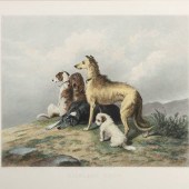 Alfred Lucas (English, 19th Ce