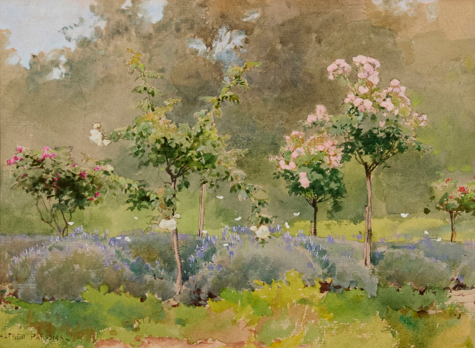 ALFRED PARSONS (1847-1920), ROSE