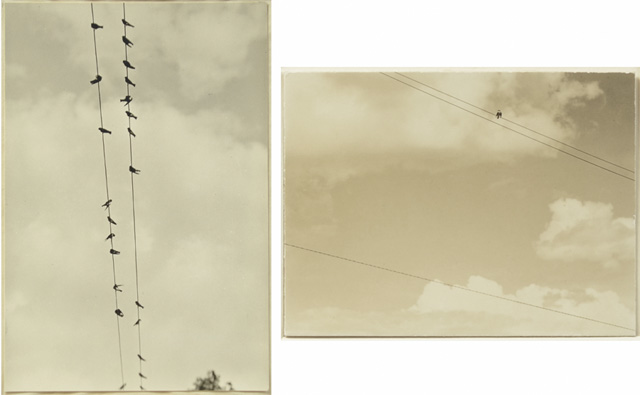 ALFRED STIEGLITZ TWO SILVER GELATIN
