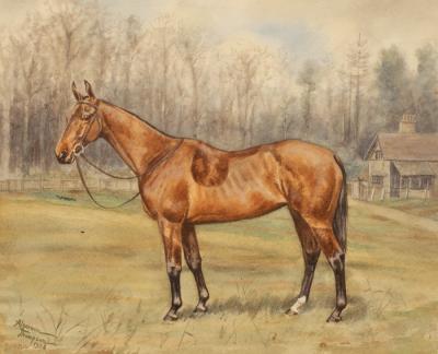 Algernon Thompson