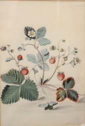 ALIDA WITHOOS (DUTCH, 1659/60