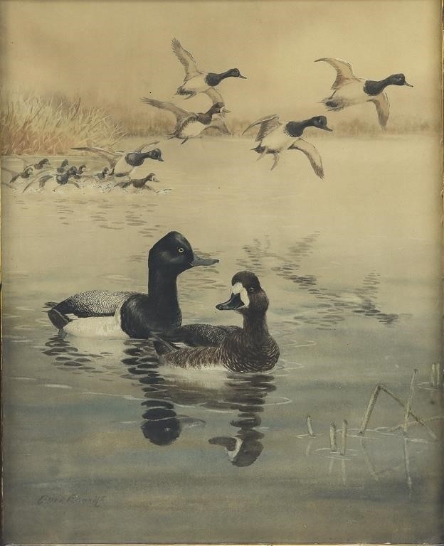 ALLAN BROOKS (CANADIAN,