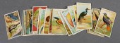 ALLEN & GINTER BIRDS CIGARETTE