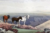 Allen William Seaby (1867-1953