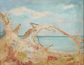 ALLISON DODD FOSTER, FLORIDA S