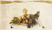 Alois Janak (born 1924)/Still