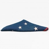 AMERICAN ANNIN & CO. THIRTY-NI