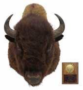 AMERICAN BISON TAXIDERMY TROPH