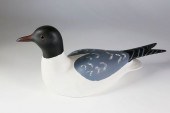 AMERICAN BLACK-HEADED GULL DEC