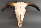 AMERICAN BUFFALO SKULL WITH HO