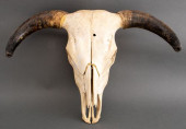 AMERICAN BUFFALO SKULL WITH HO