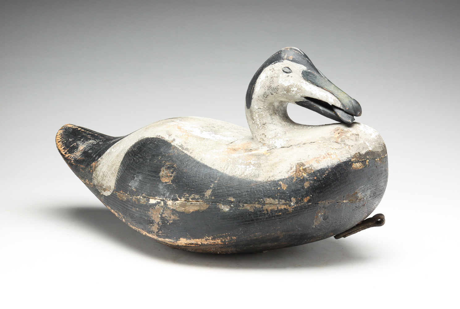 AMERICAN EIDER DECOY WITH FISH.