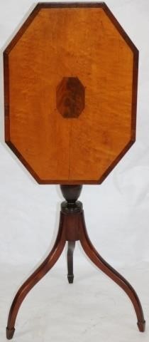 AMERICAN FEDERAL SPIDER LEG TIP TOP