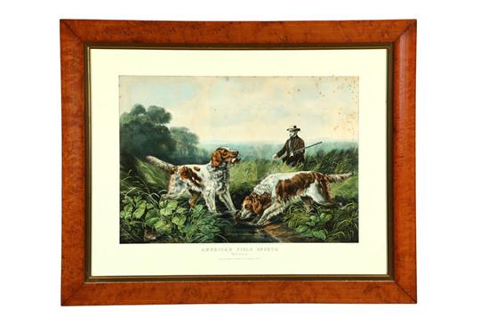 AMERICAN FIELD SPORTS  RETRIEVING