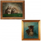 AMERICAN FOLK SCHOOL, CAT PAIN