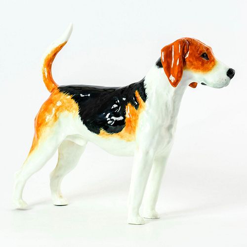 AMERICAN FOXHOUND HN2524 - ROYAL