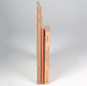 [American Indian - Southwest]