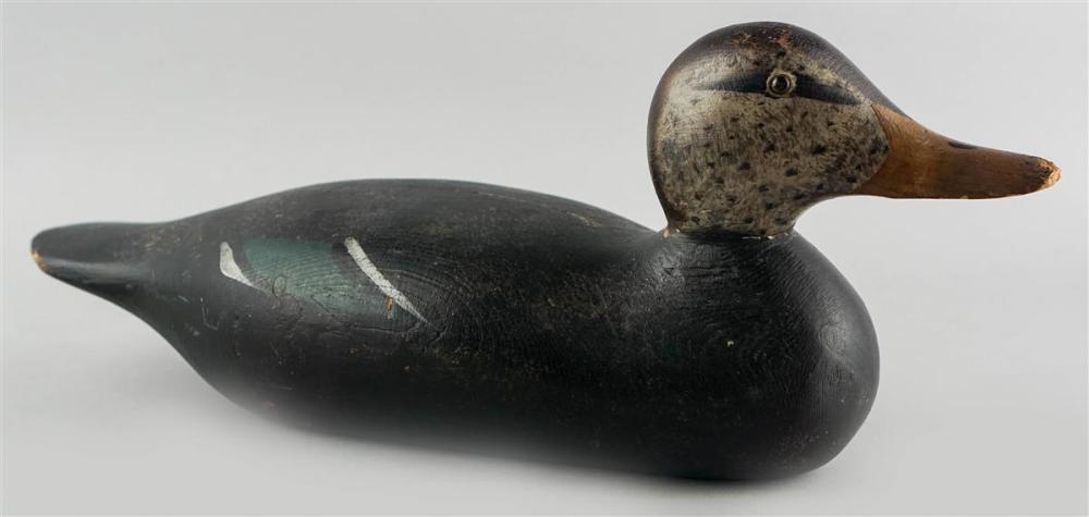 AMERICAN PAINTED WOOD DUCK