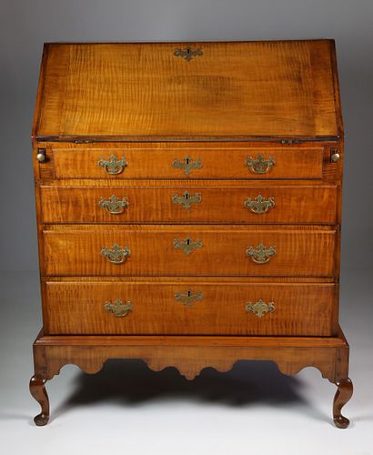 AMERICAN QUEEN ANNE TIGER MAPLE