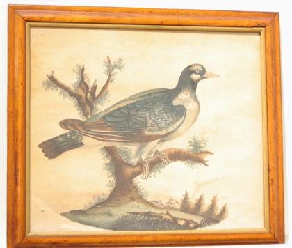 American School 18th century    a