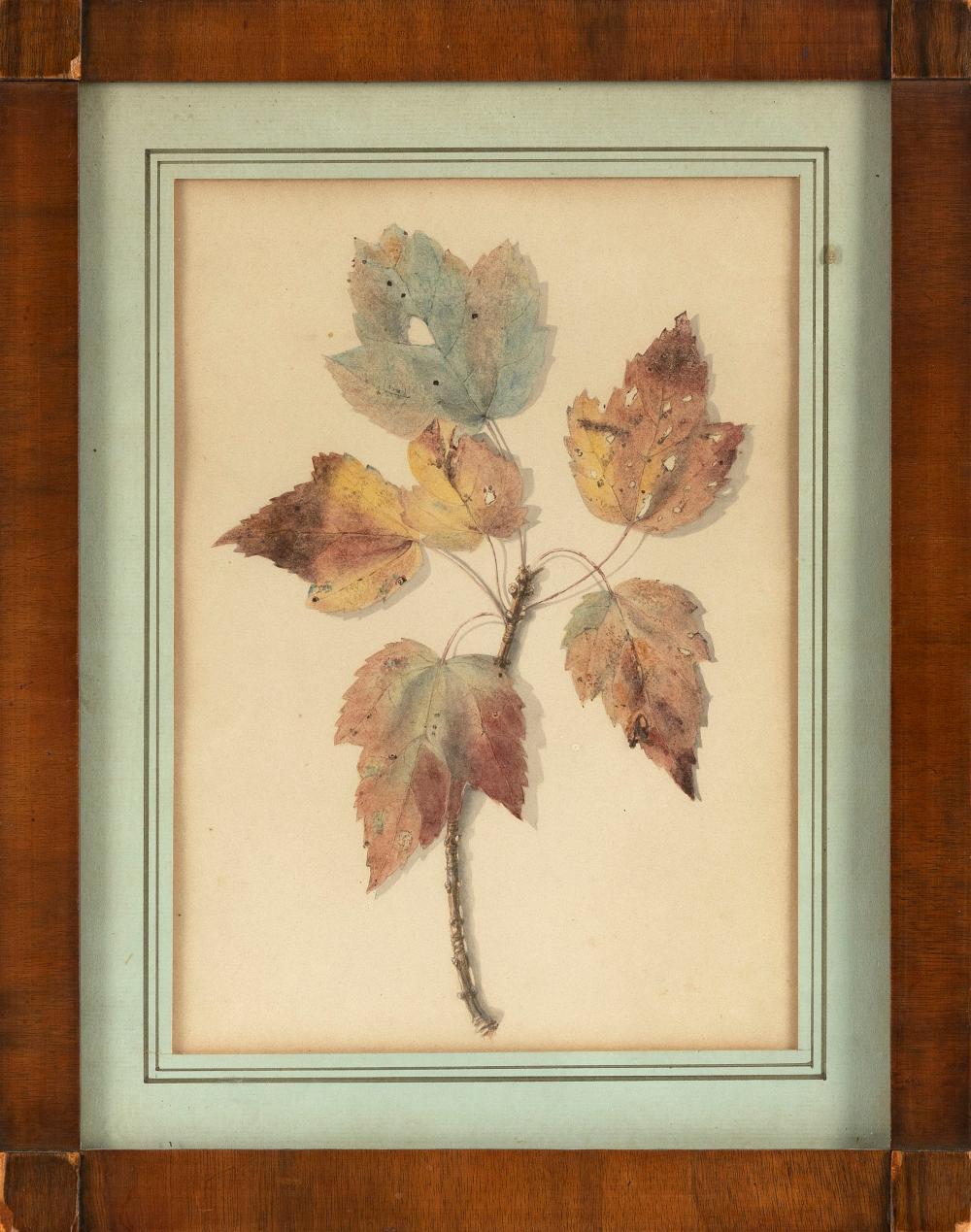 AMERICAN SCHOOL (19TH CENTURY,),