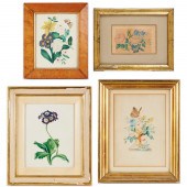AMERICAN SCHOOL, (4) BOTANICAL