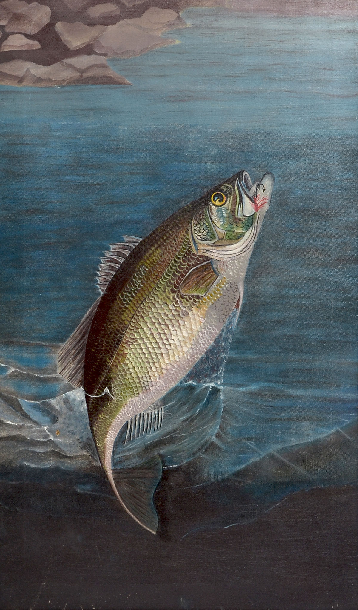 AMERICAN SCHOOL BASS FLY FISHING